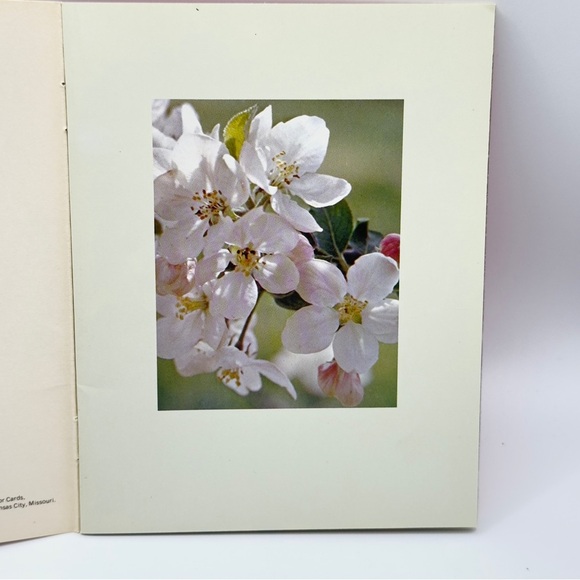 Vintage 1980 Hallmark Ambassador Birthday Greeting Card β Golden Thoughts Series - Picture 3 of 11